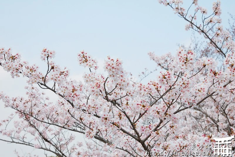 京都行程懶人包- 賞櫻、賞楓都適宜的南禪寺路線
