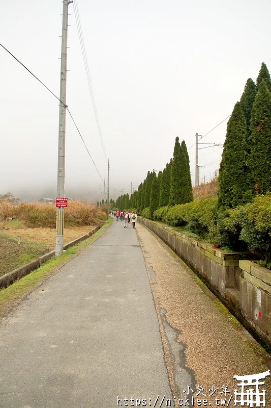 嵐山小火車-嵯峨野觀光鐵道-春天賞櫻,秋天賞楓的嵐山推薦行程