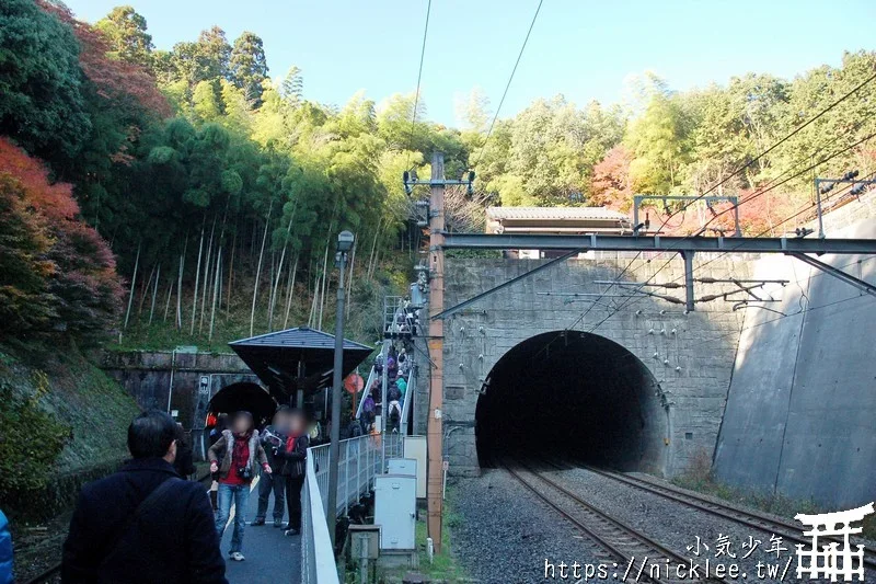 嵐山小火車-嵯峨野觀光鐵道-春天賞櫻,秋天賞楓的嵐山推薦行程