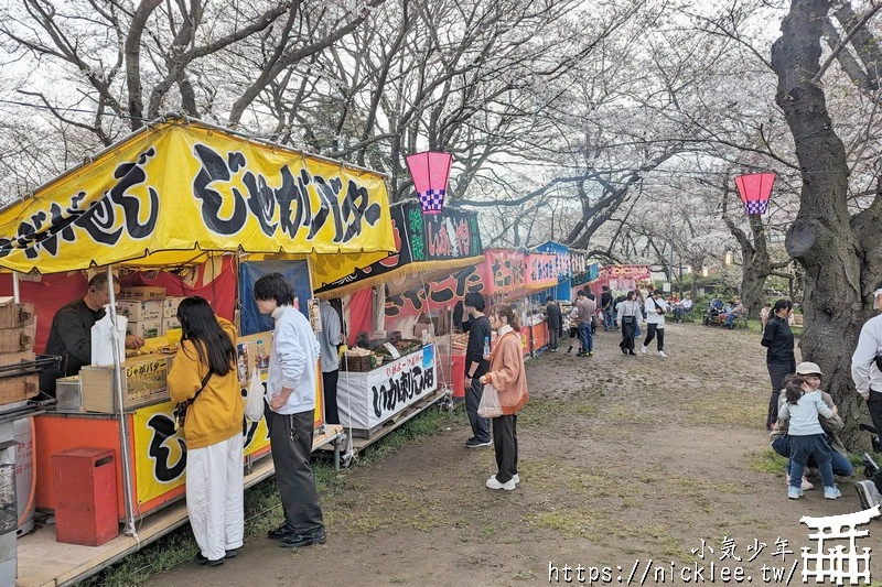 埼玉賞櫻景點-幸手權現堂櫻堤-可同時欣賞1000株吉野櫻與整片油菜花一起盛開的場面