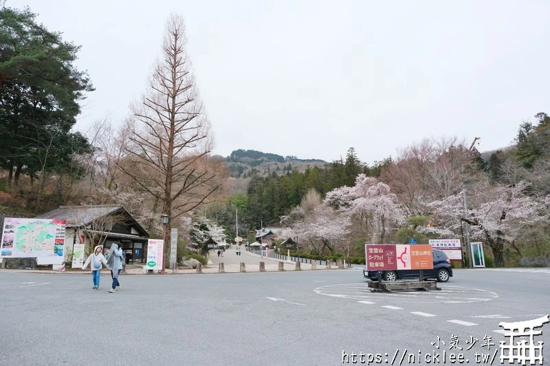 埼玉景點-寶登山神社-寶登山參道上種滿櫻花,神社的大黑天寶槌籤詩值得收藏