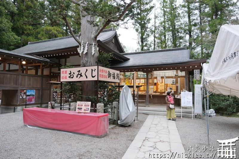 埼玉景點-寶登山神社-寶登山參道上種滿櫻花,神社的大黑天寶槌籤詩值得收藏