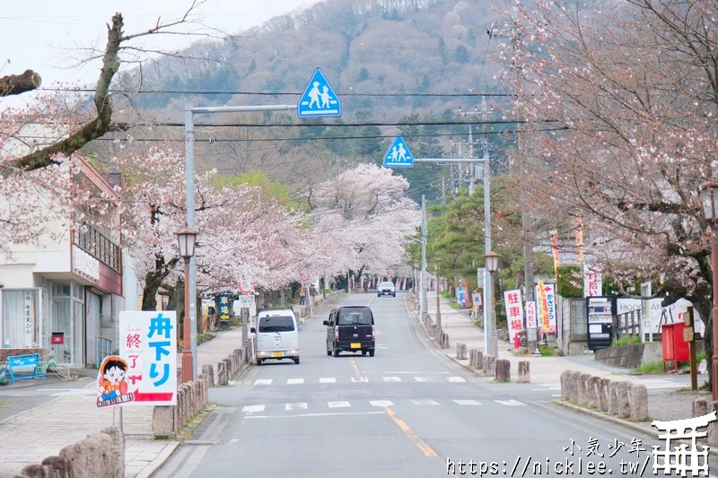 埼玉景點-寶登山神社-寶登山參道上種滿櫻花,神社的大黑天寶槌籤詩值得收藏