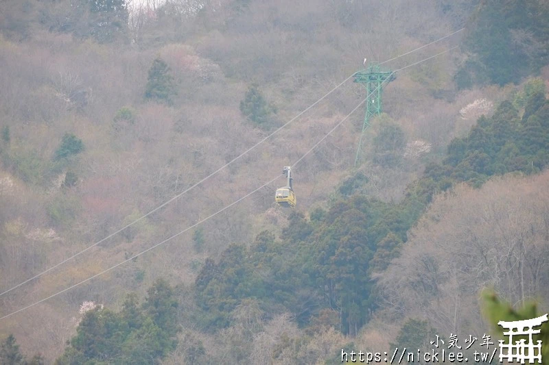 埼玉景點-寶登山神社-寶登山參道上種滿櫻花,神社的大黑天寶槌籤詩值得收藏