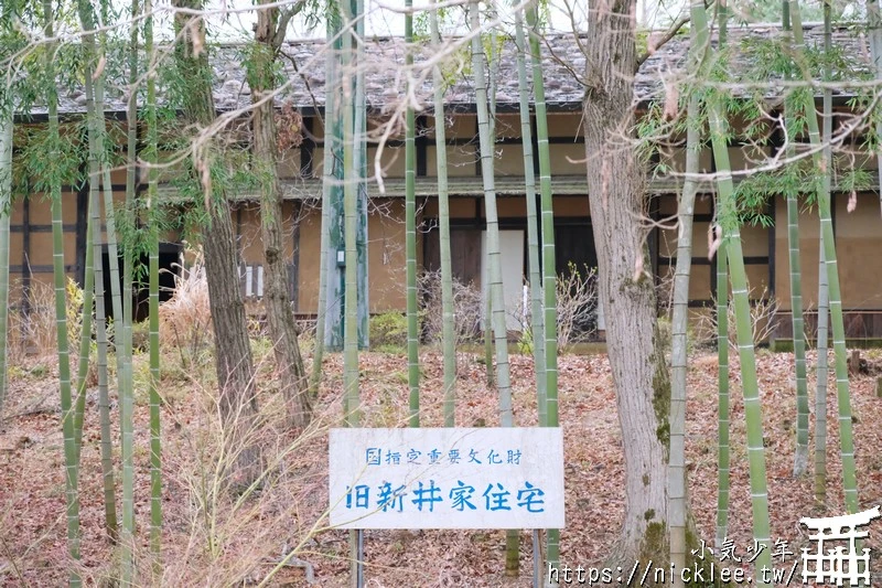 埼玉景點-寶登山神社-寶登山參道上種滿櫻花,神社的大黑天寶槌籤詩值得收藏