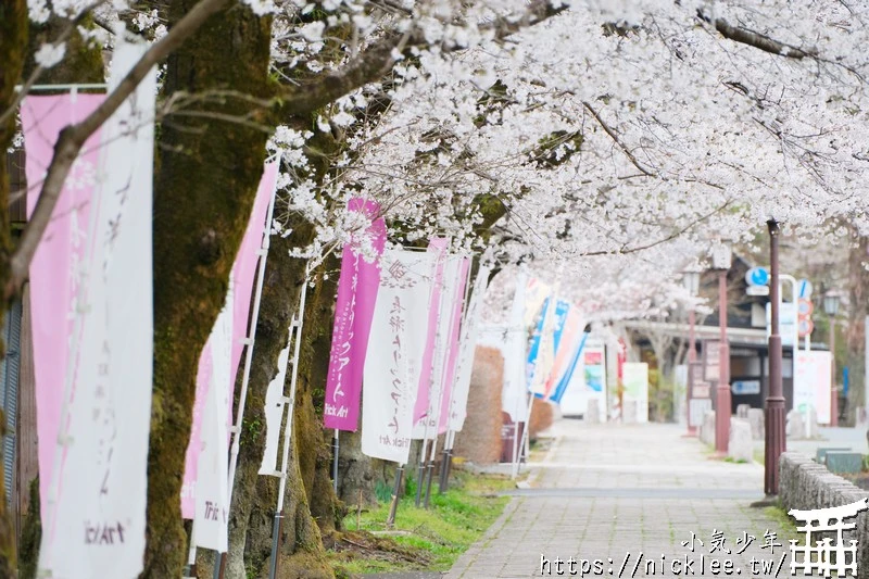 埼玉景點-寶登山神社-寶登山參道上種滿櫻花,神社的大黑天寶槌籤詩值得收藏