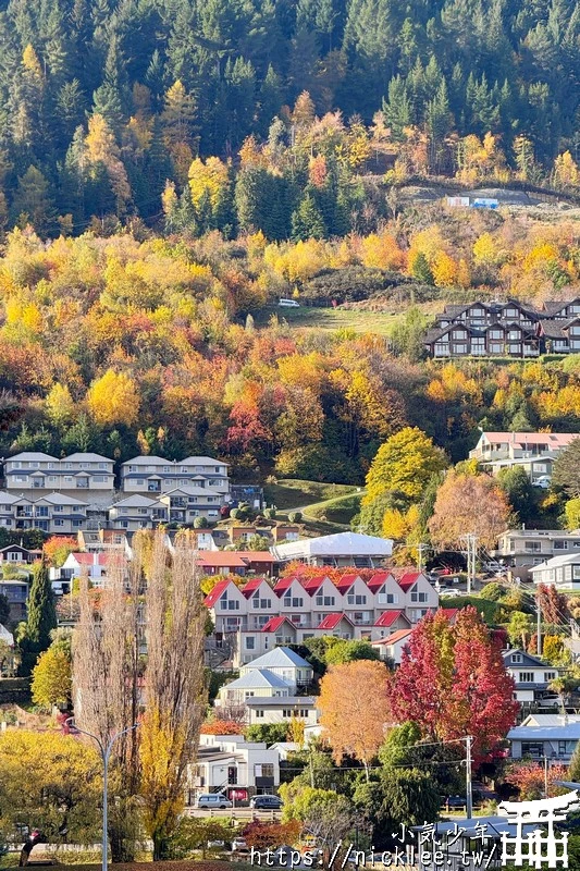 紐西蘭住宿|奧克蘭機場,奧馬魯,蒂卡波,庫克山,瓦納卡,皇后鎮,蒂阿瑙,漢美頓,羅托路亞