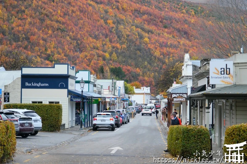 紐西蘭行程分享-南北島16天(蒂卡波湖,庫克山,瓦納卡,蒂阿瑙,米佛峽灣,皇后鎮,哈比村,藍泉,螢火蟲洞)