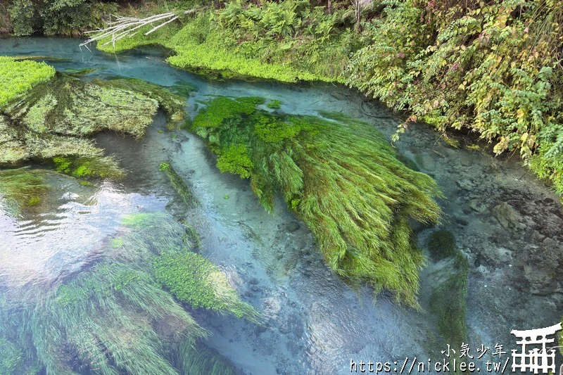 紐西蘭行程分享-南北島16天(蒂卡波湖,庫克山,瓦納卡,蒂阿瑙,米佛峽灣,皇后鎮,哈比村,藍泉,螢火蟲洞)