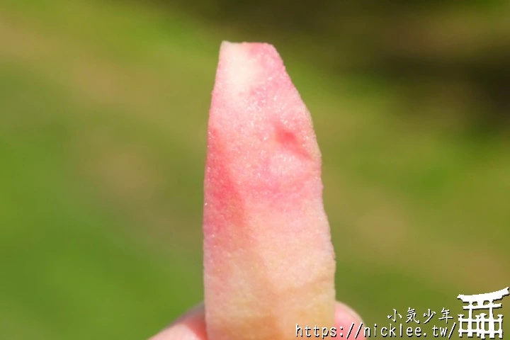 青森五所川原蘋果：榮紅．レッドキュー．御所川原-探訪在地的秋季滋味