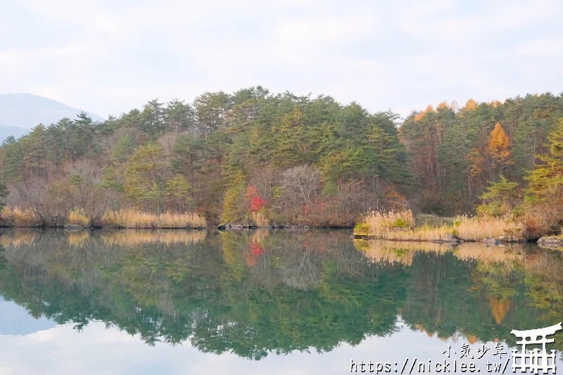 福島五色沼|福島秋天賞楓景點,米其林1星景點