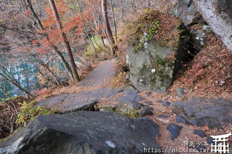 福島五色沼|福島秋天賞楓景點,米其林1星景點