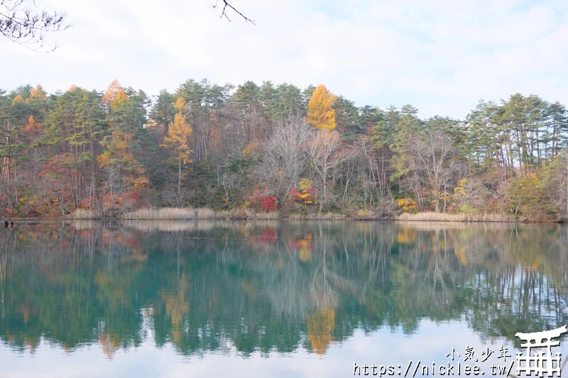 福島五色沼|福島秋天賞楓景點,米其林1星景點
