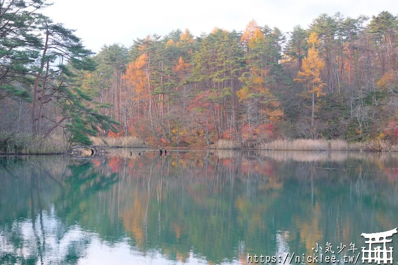 福島五色沼|福島秋天賞楓景點,米其林1星景點
