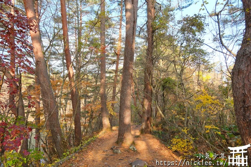 福島五色沼|福島秋天賞楓景點,米其林1星景點