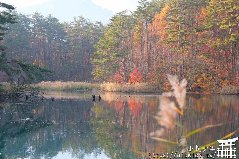 福島五色沼|福島秋天賞楓景點,米其林1星景點