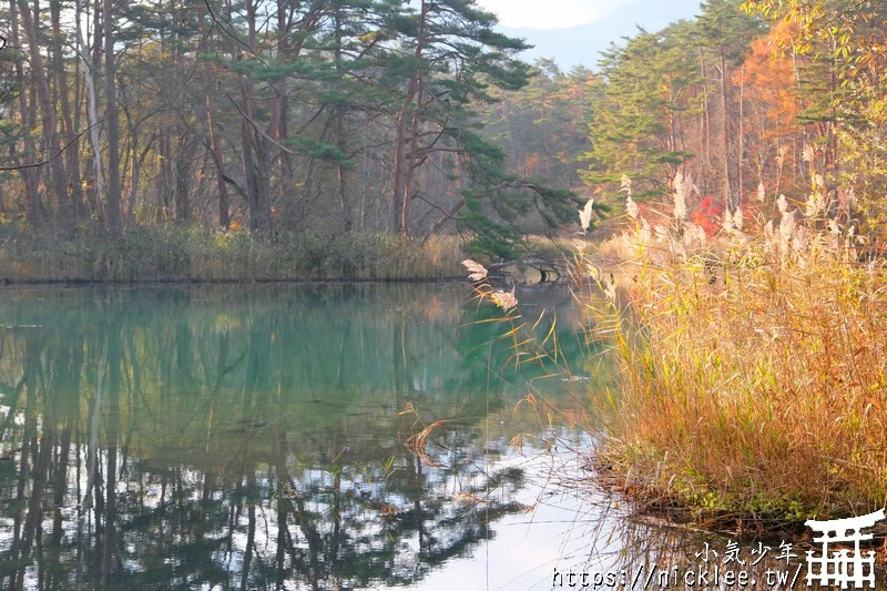 福島五色沼|福島秋天賞楓景點,米其林1星景點