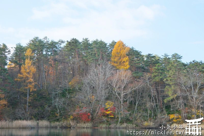 福島五色沼|福島秋天賞楓景點,米其林1星景點