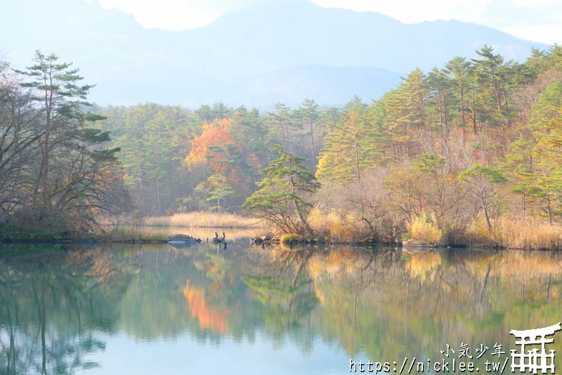 福島五色沼|福島秋天賞楓景點,米其林1星景點