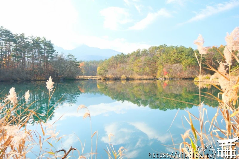 福島五色沼|福島秋天賞楓景點,米其林1星景點