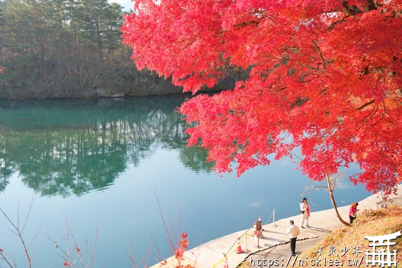 福島五色沼|福島秋天賞楓景點,米其林1星景點