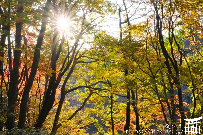 宮城賞楓景點-橫川溪谷與長老湖夕燒美景