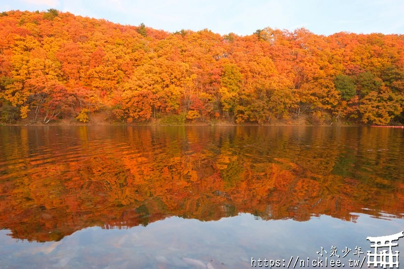 宮城賞楓景點-橫川溪谷與長老湖夕燒美景