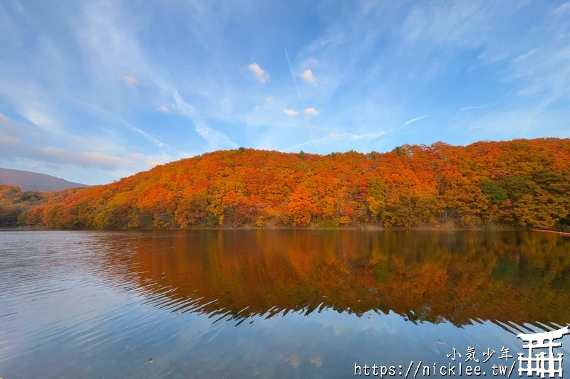 宮城賞楓景點-橫川溪谷與長老湖夕燒美景