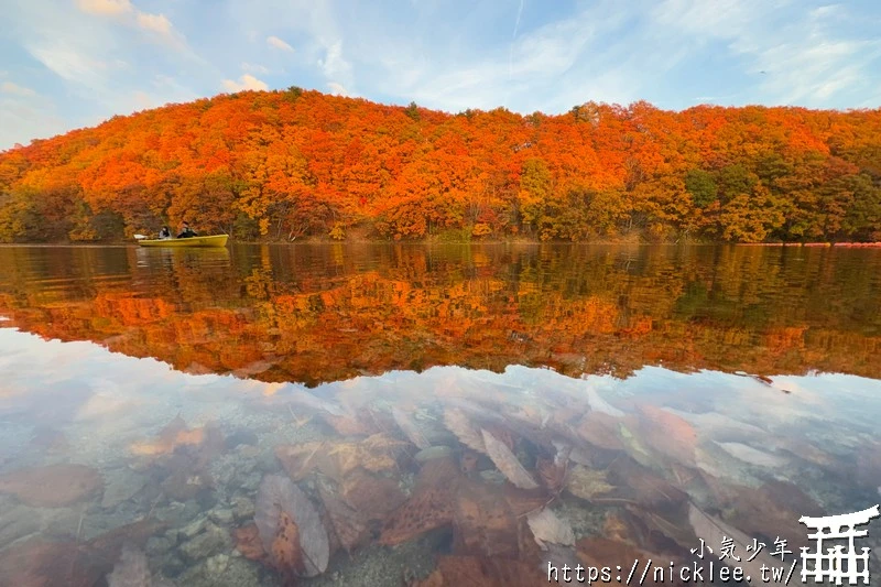 宮城賞楓景點-橫川溪谷與長老湖夕燒美景