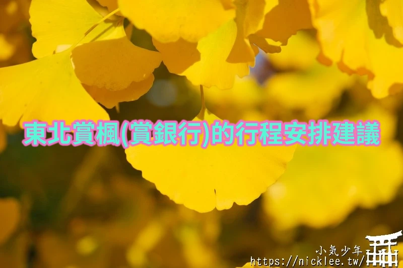 11個東北賞楓(銀杏)的行程安排建議