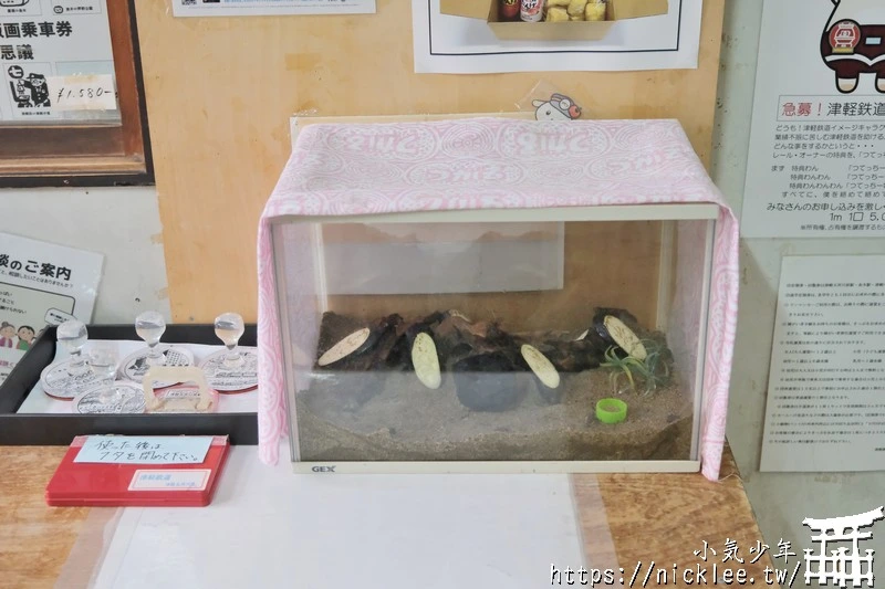 津輕鐵道怎麼搭?路線圖、觀光景點與搭乘重點一次整理|暖爐列車,鈴蟲列車,風鈴列車