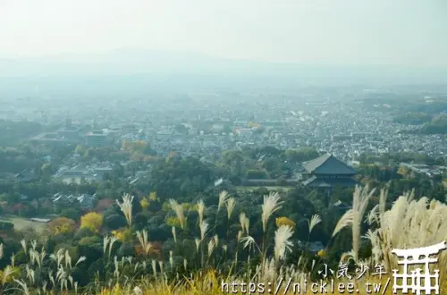 奈良公園若草山-眺望奈良市區的好地方-適合放空腦袋的旅遊
