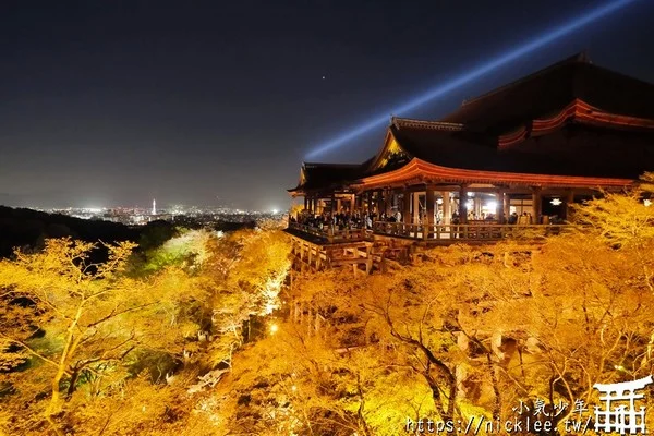 京都賞櫻-清水寺夜櫻-每年賞櫻季的重點