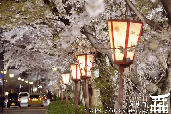 【京都夜櫻景點】祇園白川夜櫻|高瀨川夜櫻-最推薦的3個免費京都夜櫻景點